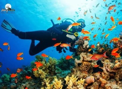 c420e2e3f7ee75e3a6a25af64975452d